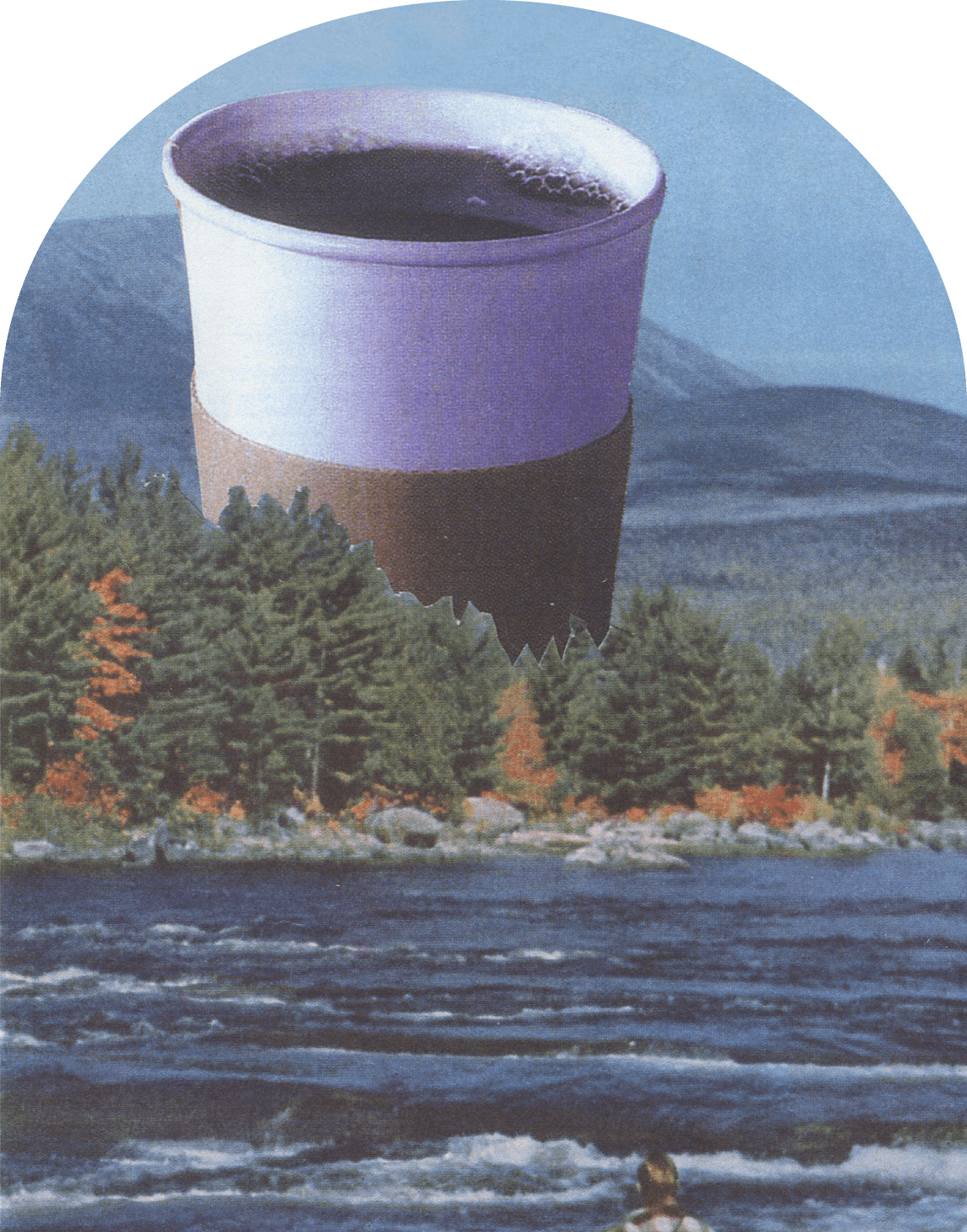 Trapper Creek Decaf Coffee Beans Stumptown Coffee Roasters