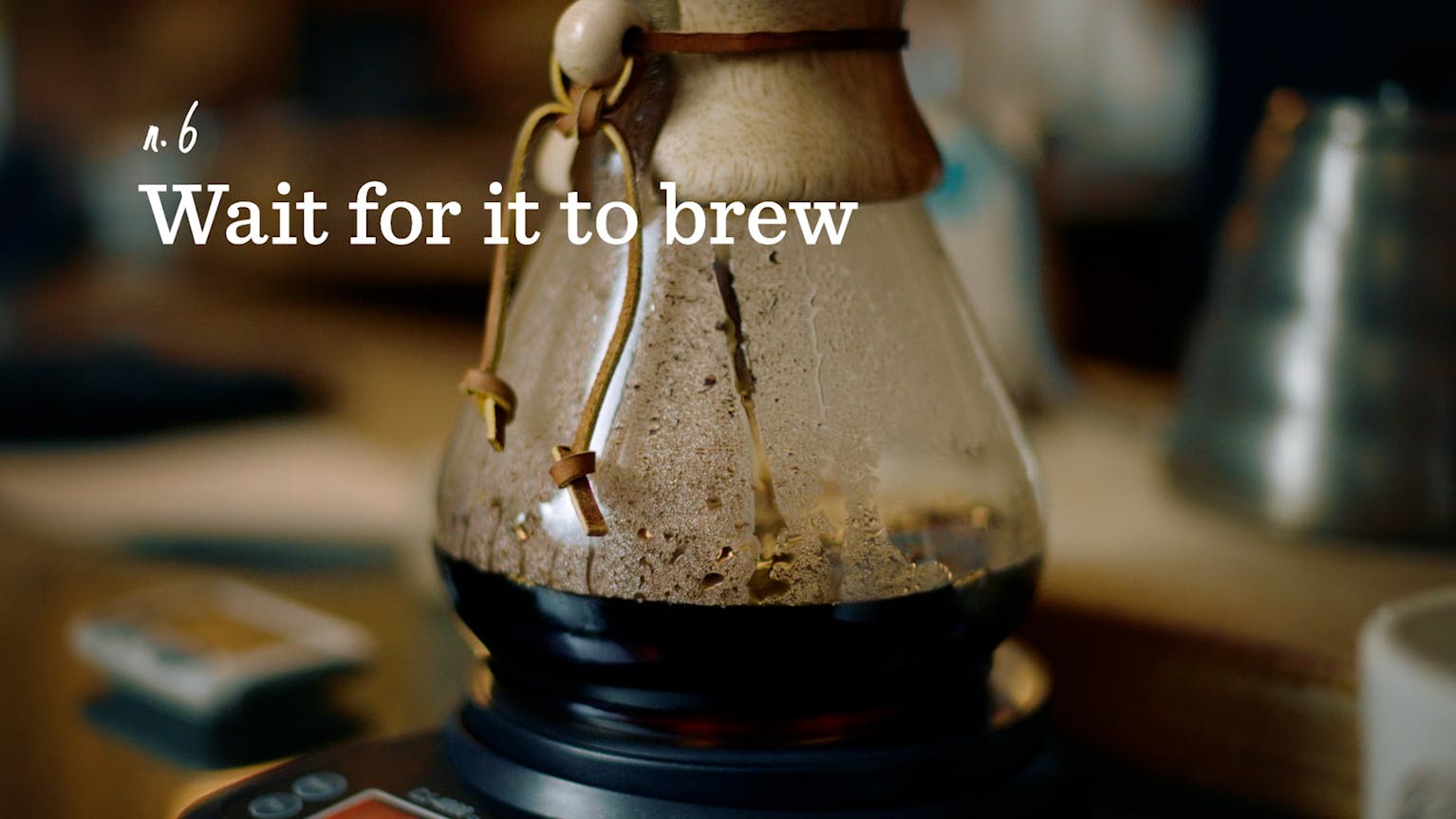 Brew Guide Chemex How to Use the Chemex to Make Coffee